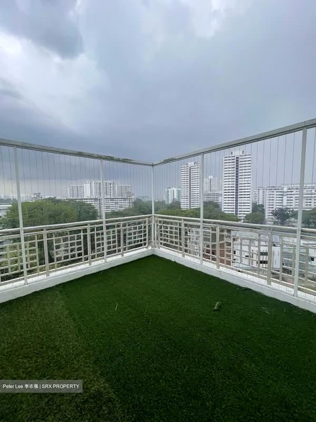 Parc Vista (D22), Condominium #548374851